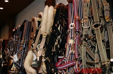 Sp&aelig;nd grimen korrekt p&aring; folden