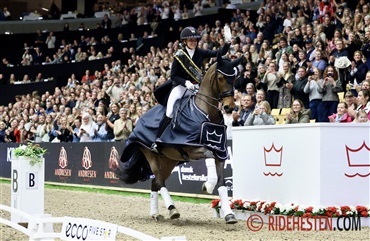 S&aelig;t kryds i kalenderen: DV's Hingstek&aring;ring 2027