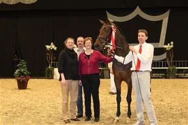 Ny hingst til Klosterheden
