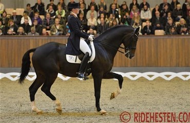 Super stemning i Blue Hors Grand Prix Cup