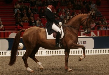 &Aring;rets navne i svensk ridesport