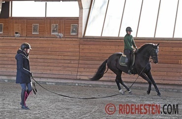 G&oslash;r det s&aring; nemt som muligt for den unge hest