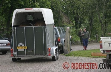 Tips til stressfri hestetransport