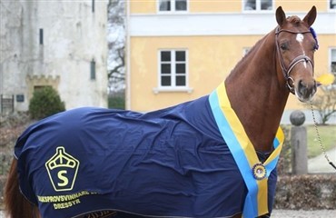 Tullstorp &aring;bent hus