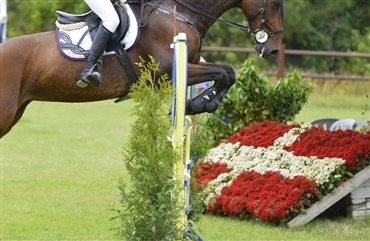 Children- og ponyryttere udtaget til NM i springning