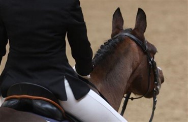 Mentorordning for ponyryttere