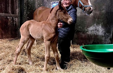 &Aring;rets f&oslash;rste f&oslash;l er f&oslash;dt