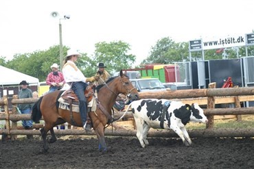 DM i western-ridning 