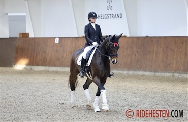 P&aring;skest&aelig;vne i Uggerhalne n&aelig;rmer sig