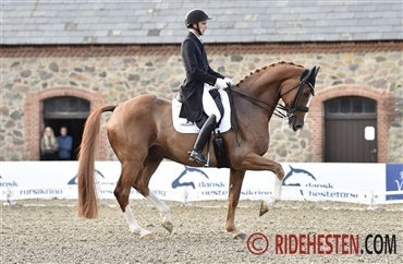 Grand Prix-sejr til debutparret (video)