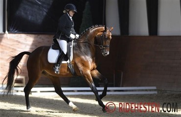 5 skarpe til Dorthe Rohmann