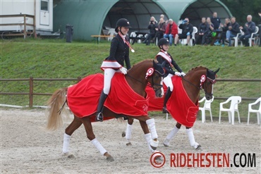 Herning Rideklub red sig til guldet