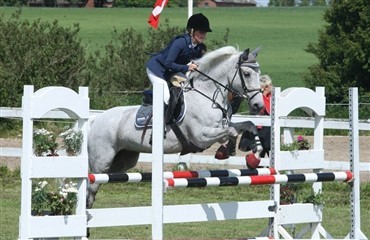 Danskerne pr&aelig;sterer fortsat i Norge