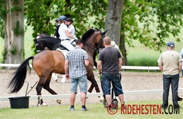 10 ting k&aelig;resten siger ved f&oslash;rste ridest&aelig;vne