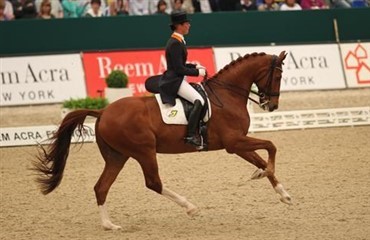 World Cup-finalisterne i dressur
