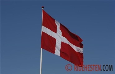 Sundeved Dressurfestival med ECCO Cup