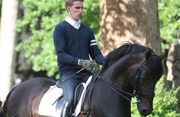 Ridehesten i Rotterdam