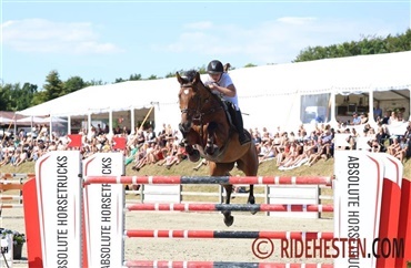 Succes for Scherff i Hagen