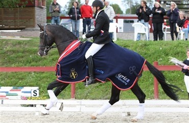 Tailormade til tops i Norge