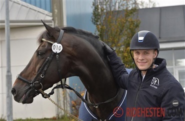 Hesten som en dansepartner