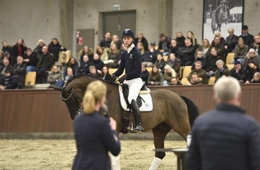 Engageret dialog om dressurhesteavl p&aring; Blue Hors