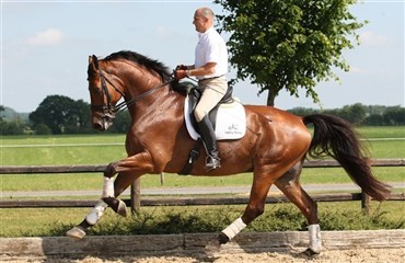 Beemer til Caroline Roffman