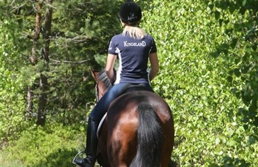 Pige reddet af sin hest ved overfald