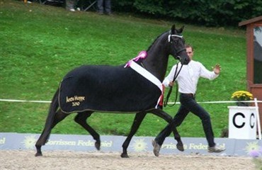 TAF's Elitest&aelig;vne 2010