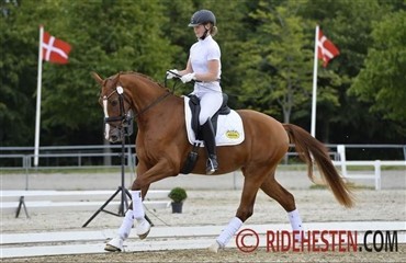 Ny DV-hest til Janne Rumbough