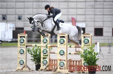 De 6-&aring;rige finalister til springchampionater