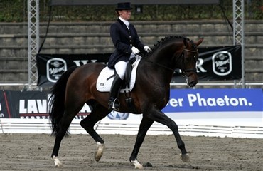 Emma har ny Grand Prix hest p&aring; vej