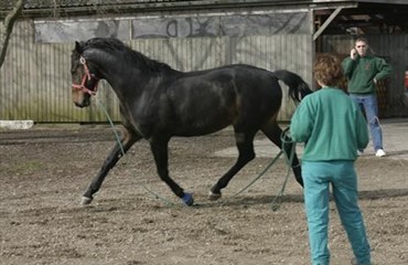 Bliv klogere p&aring; halthed – online