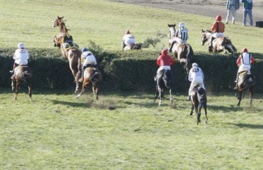 Jumps racing forbydes fra 2011