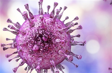 Deltag i gratis informationsm&oslash;de om herpesvirus 