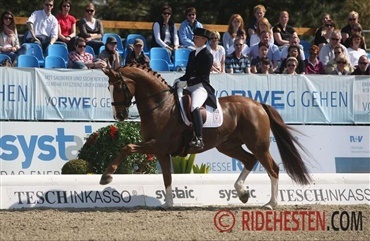 Grand Prix-hesten Dablino er sovet ind