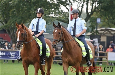 Politiet har k&oslash;bt heste
