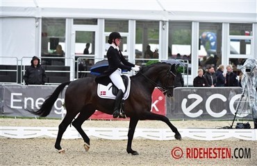 Sille Engermann vil fra junior til Young Rider