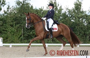 ECCO Cup 2014: Nanna Merrald