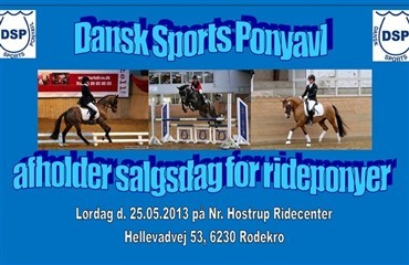 DSP Salgsdag