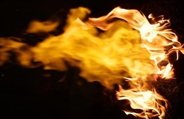 Brand: Heste slap uskadt