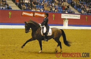 OL-hesten Idocus er d&oslash;d 31 &aring;r gammel