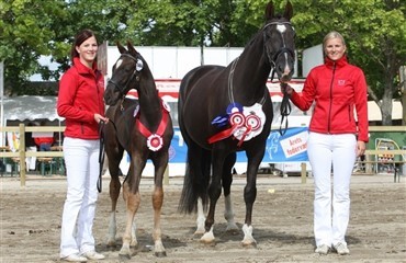 Danske dyrskuer 2010