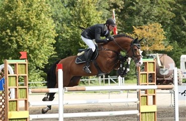 Har du en 6- eller 7-&aring;rs DV-hest?