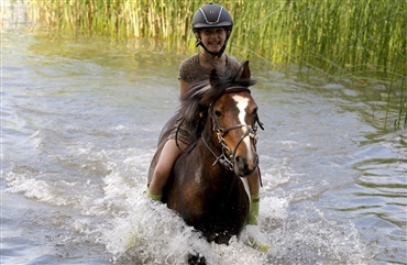 Billeder: Tag din pony med ud at bade