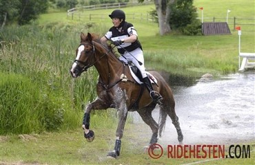 Flot dansk resultat i Lion d'Angers