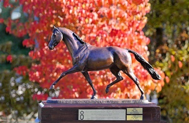 Danske hopper til oldenburgereliteskue