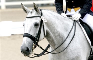 Danske Lamborghini vinder igen