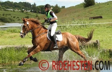 Dressur ved military-DM
