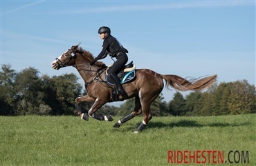 En stor bane venter i morgen i Boekelo