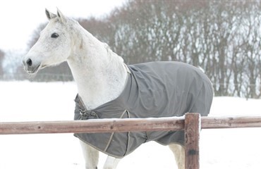 Opsl&aring; nyheder fra Ridehesten.com p&aring; din Facebook-profil